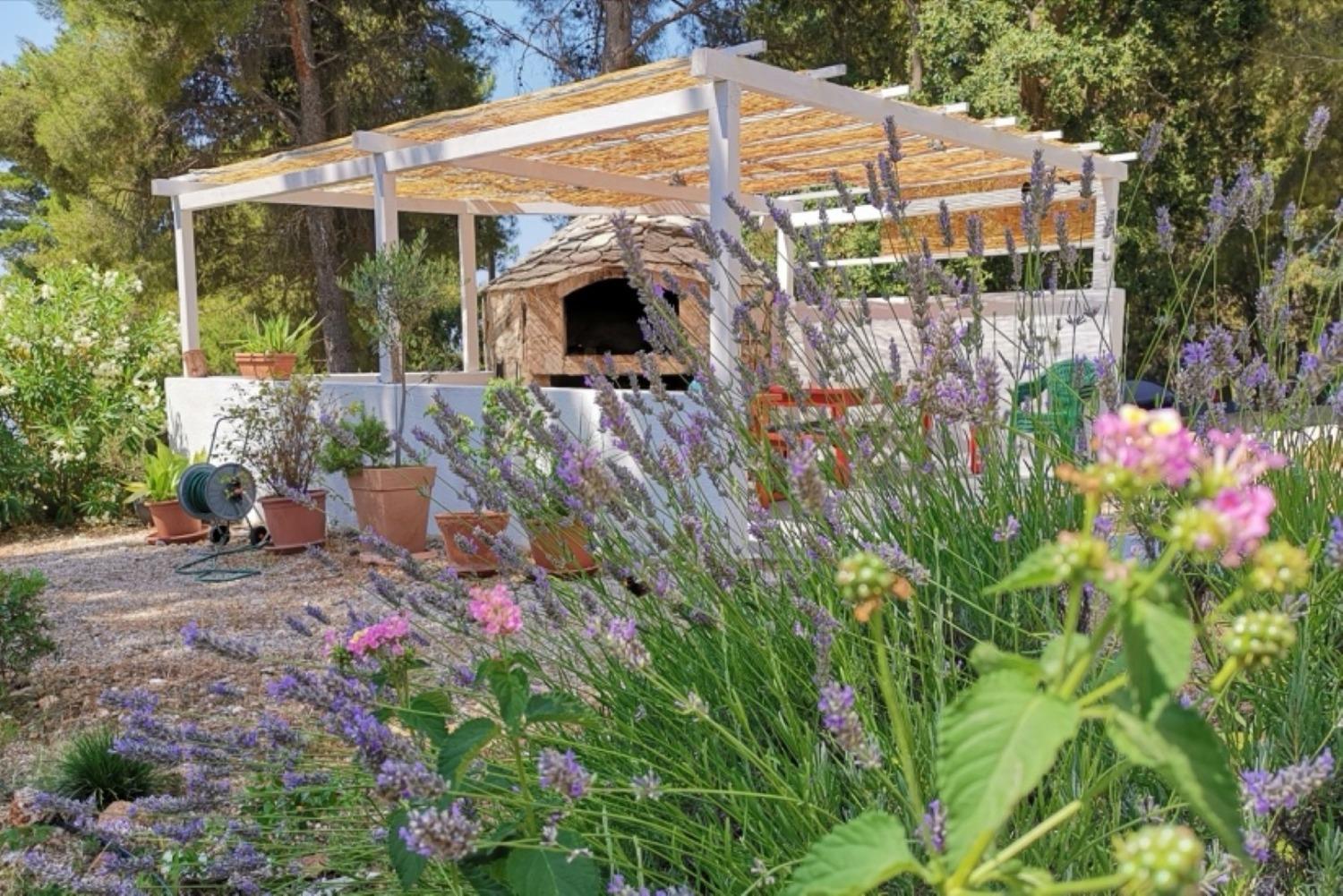 Apartmani Dino - Gorgeous Garden Zavala Exterior photo
